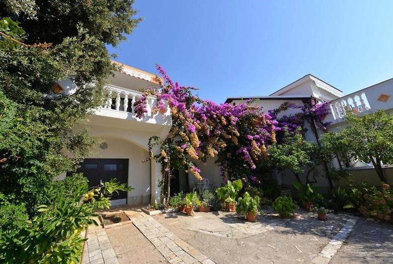 Ostaric Apartamento Mandre Exterior foto